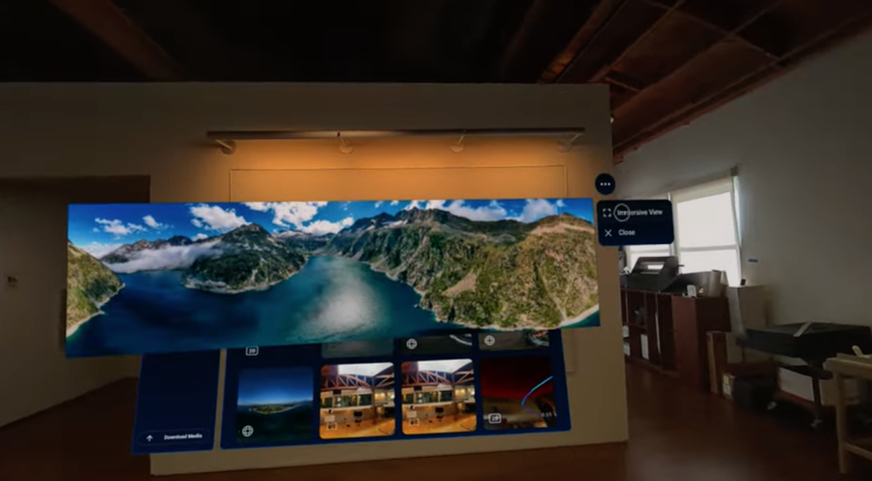 Panorama opened in Media View on a wall, with an Immersive View menu beside it