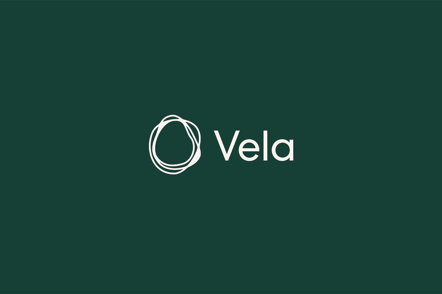 Vela wordmark and circular line logo on a dark green background