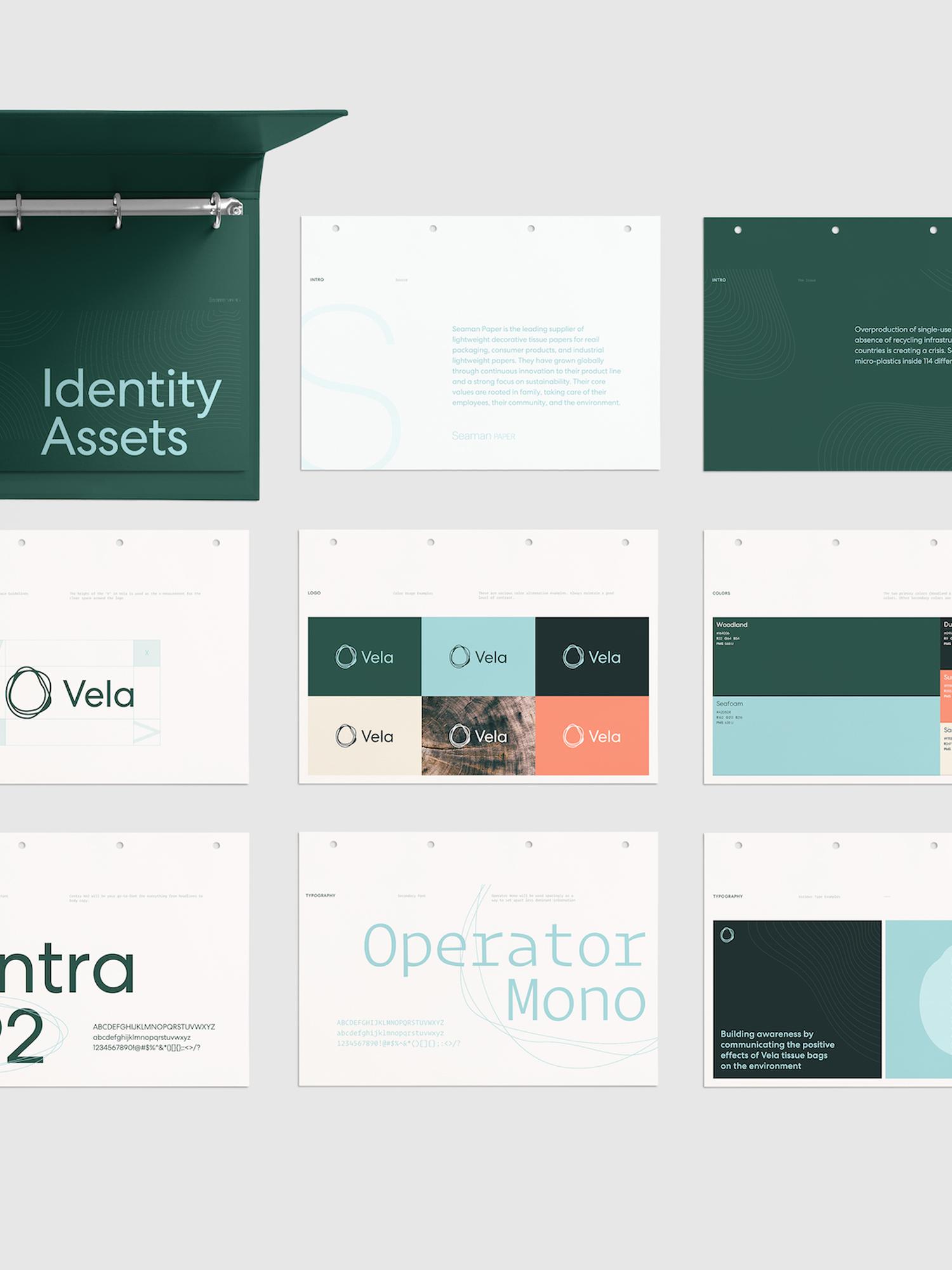Vela brand identity boards arranged with logo, colors, and typography
