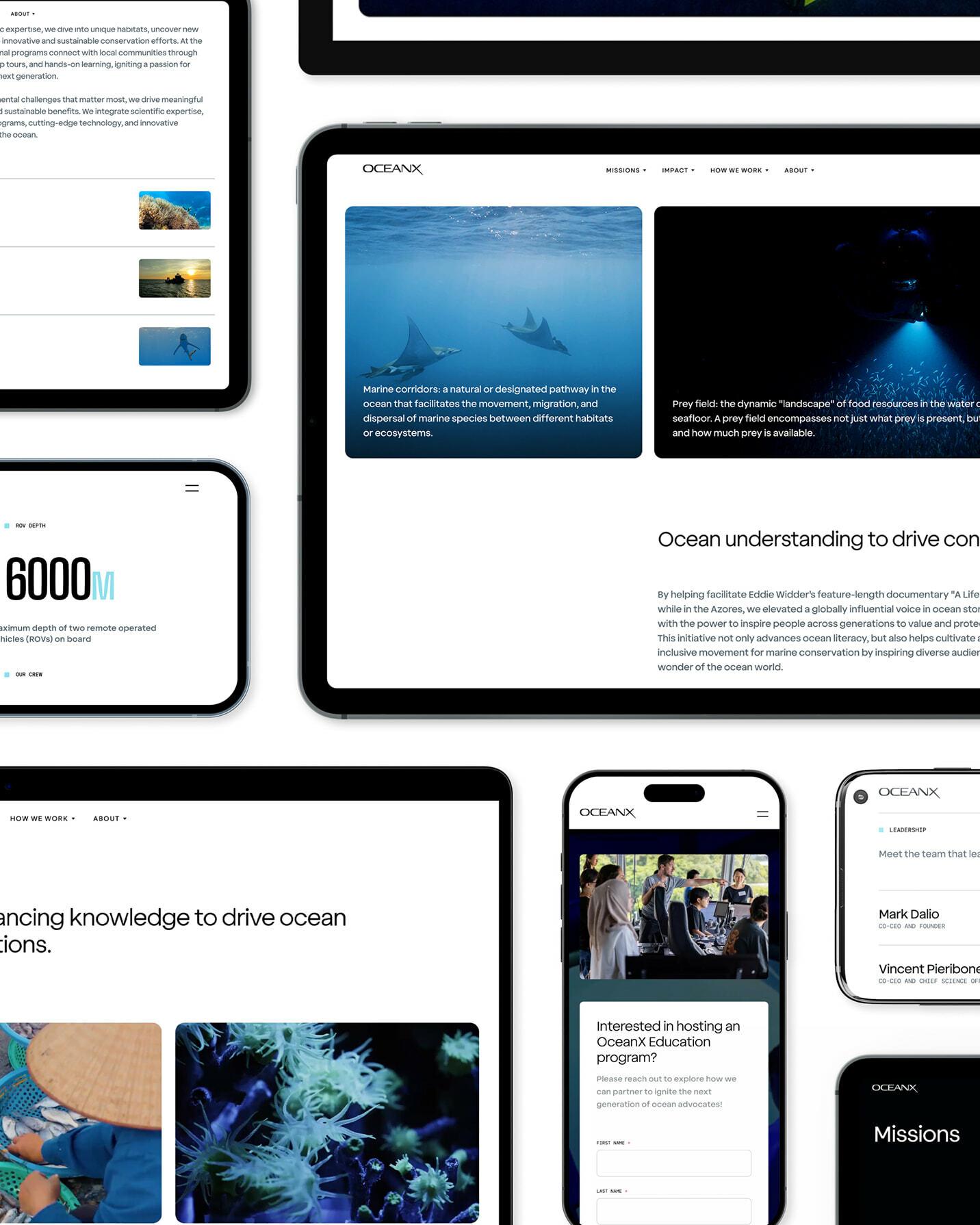 Mobile version of image