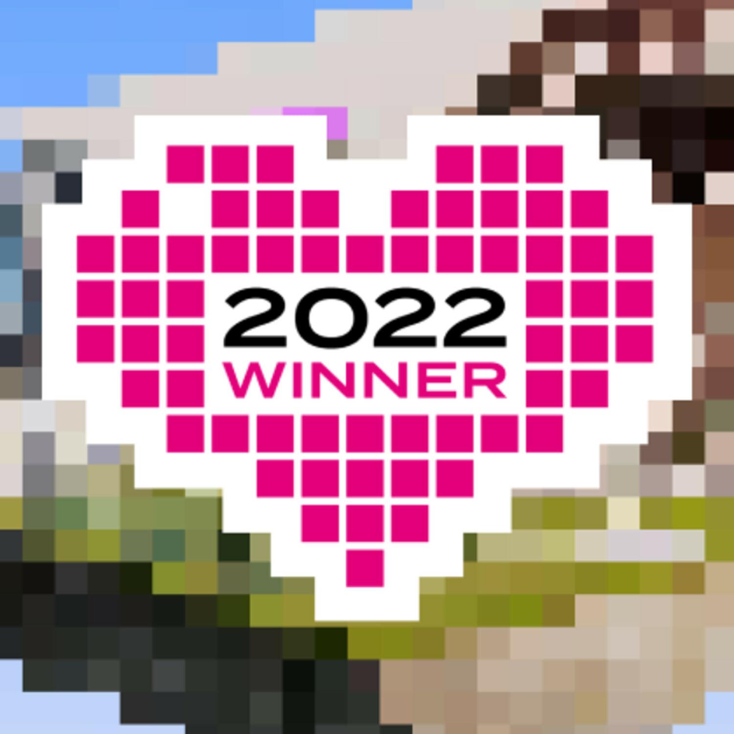 2022 winner badge with pink pixel heart