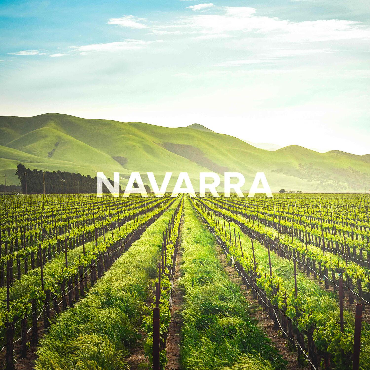 Navarra text over sunlit vineyard rows and green hills